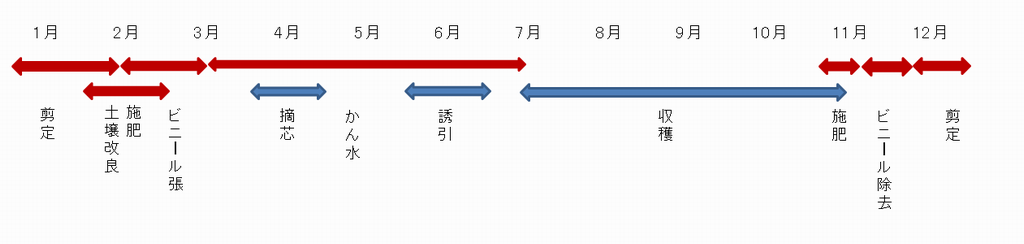 スケジュール