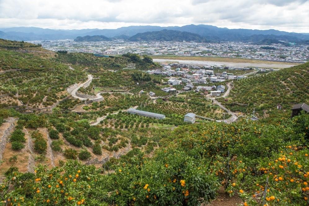 有田川町風景