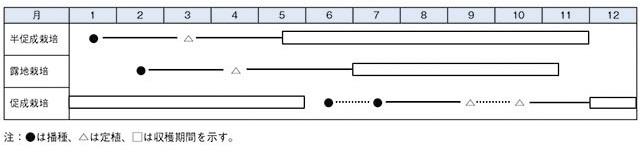 栽培スケジュール