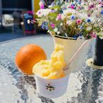 もぎたてありだ