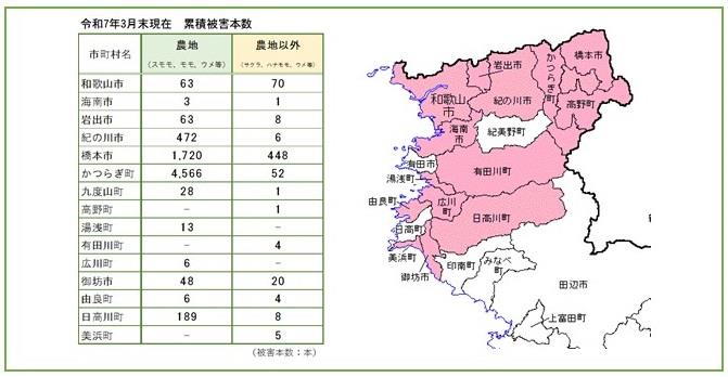 被害状況