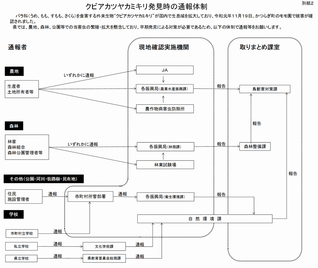 通報体制