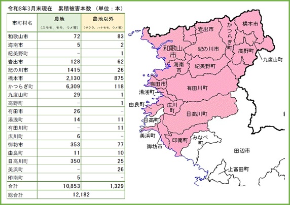被害状況
