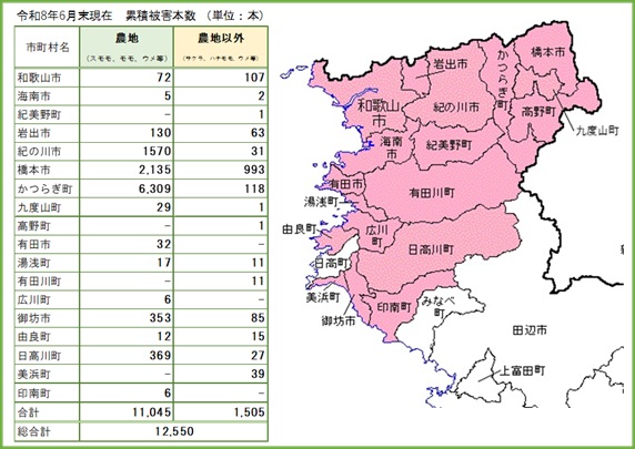 被害状況