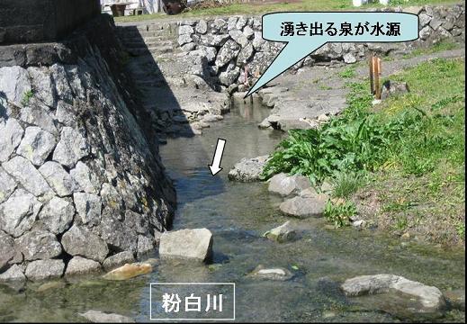 水源の写真