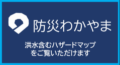 防災わかやま