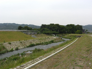 住吉川の写真