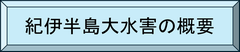 大水害の概要