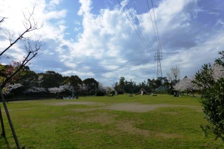 河西緩衝緑地河西公園の写真