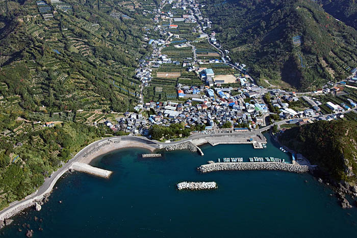 田村漁港の写真
