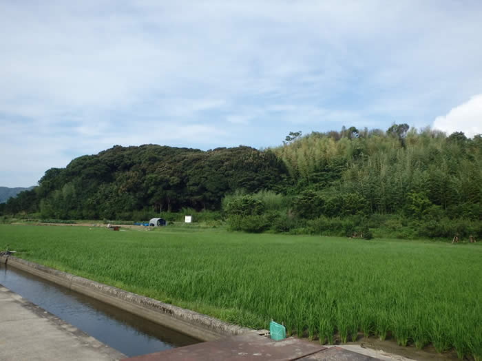 和歌山市口須佐の里山の画像