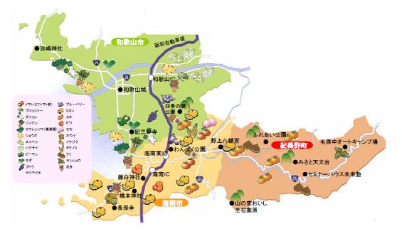 和海地方特産品マップ 和歌山県