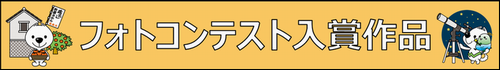 フォトコンテスト入賞作品はこちらから確認することができます