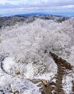和泉葛城山