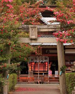 名手八幡神社