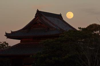 紀伊国分寺