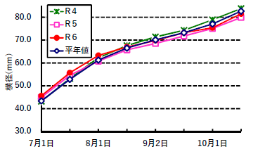 グラフ