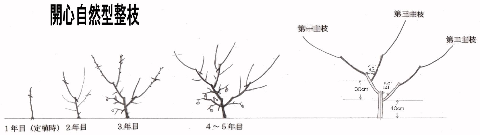 栽培管理 和歌山県