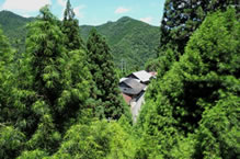 小辺路から見た大滝地区の写真