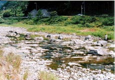 平成9年の川の様子の写真