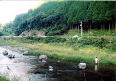 平成11年の川の様子の写真
