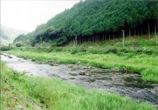 平成12年の川の様子の写真