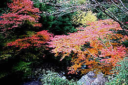 鷲の川滝の画像