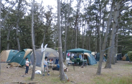 煙樹海岸キャンプ場の画像2