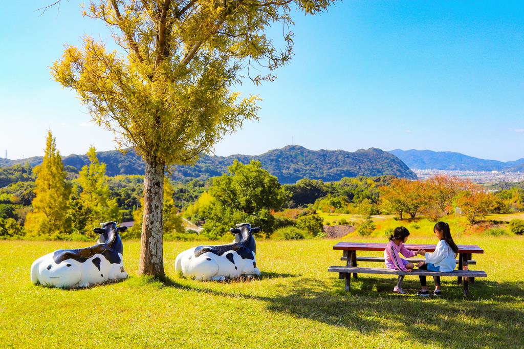 天文公園の画像
