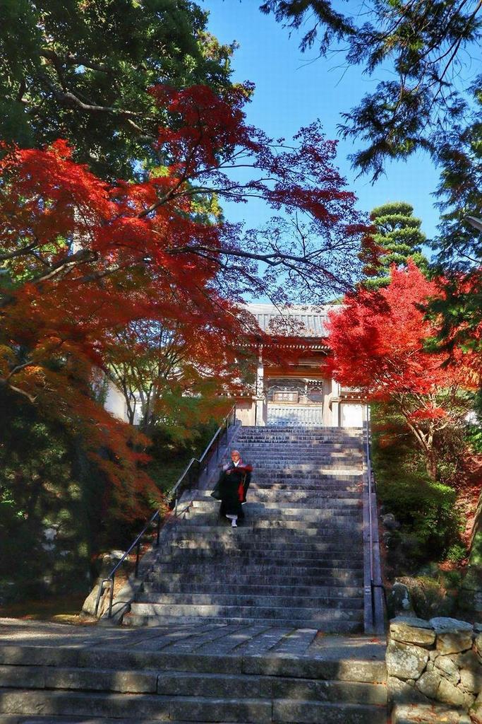興国寺山門と僧侶と紅葉の画像