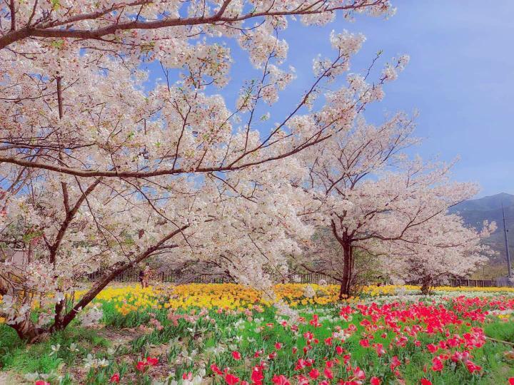 地蔵の鼻の画像