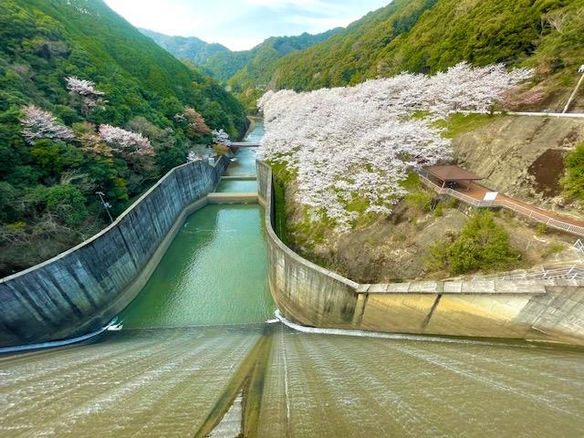 島瀬ダムの画像