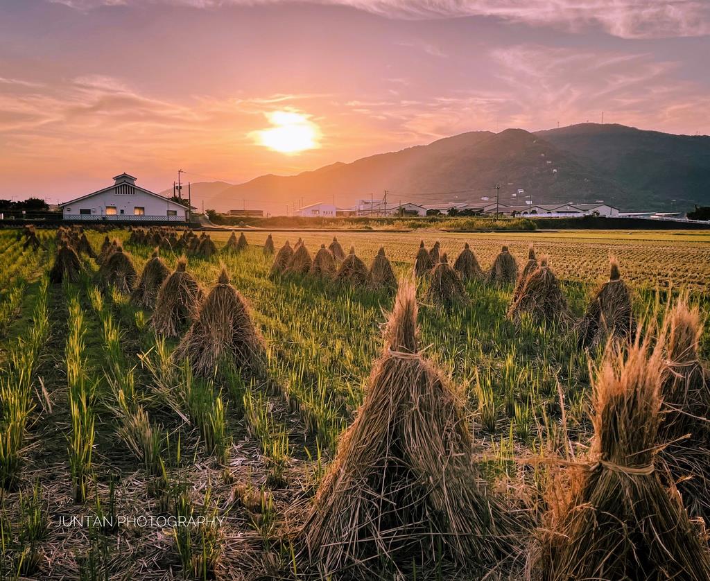 稲刈り後の田と夕日の画像
