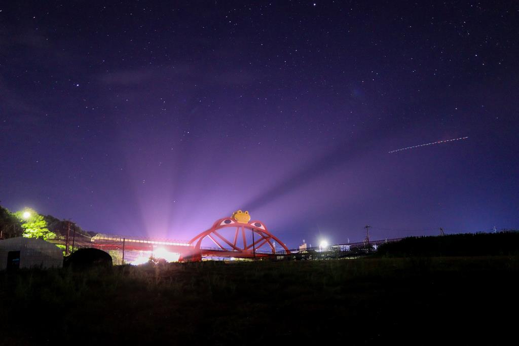 かえる橋と夜景の画像