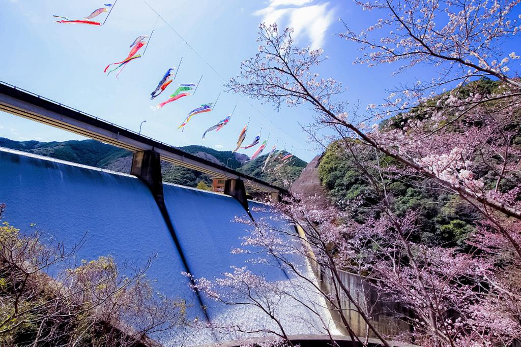 島之瀬ダムの画像