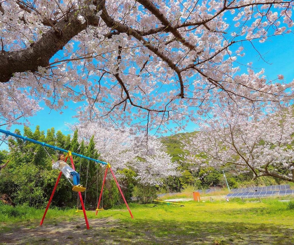 御崎公園の画像