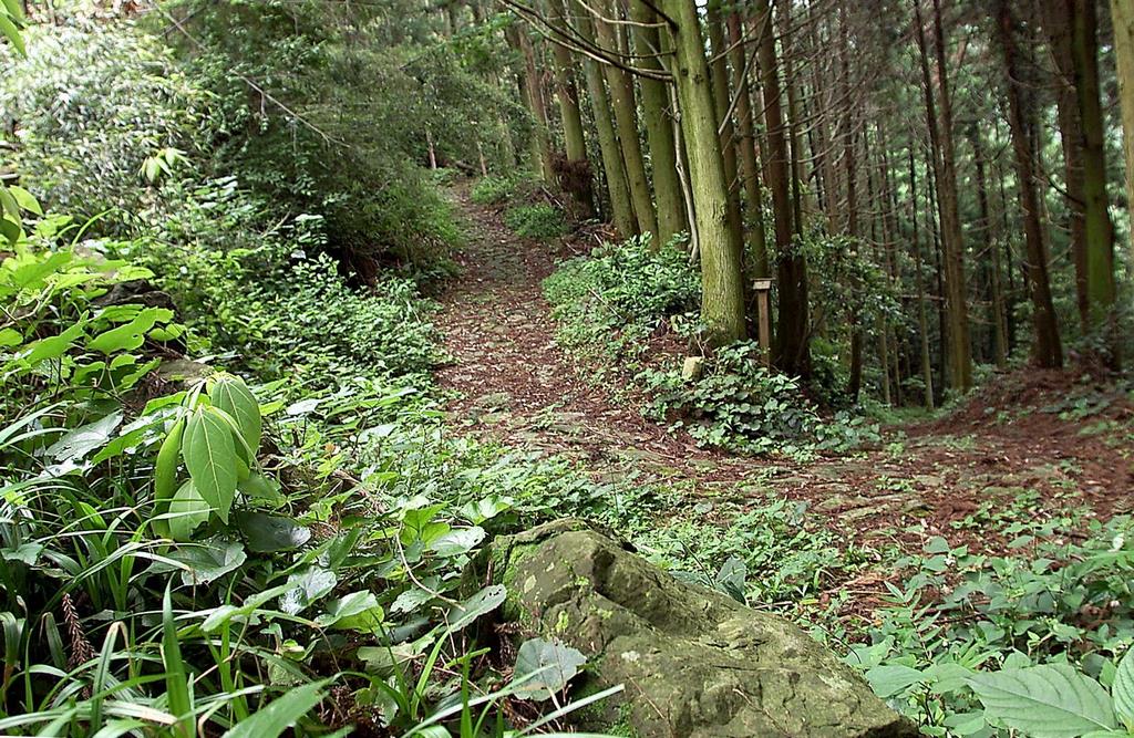 鹿野瀬の画像