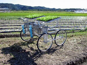 半自動多条移植機(ちどりさん)の写真