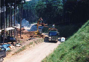 木材集積状況の写真1