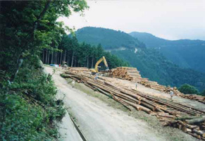 木材集積状況の写真2