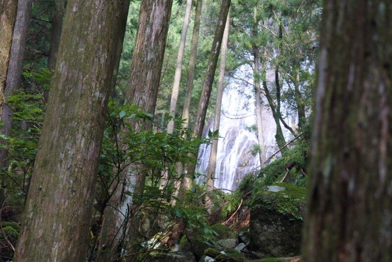 仙人滝
