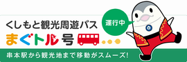 マグトル