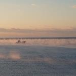 （12月）田原の海霧