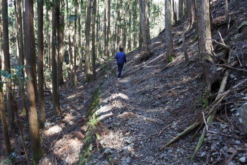 中津谷の滝