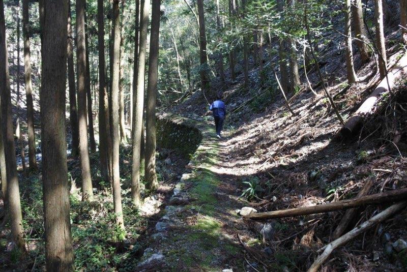 中津谷の滝