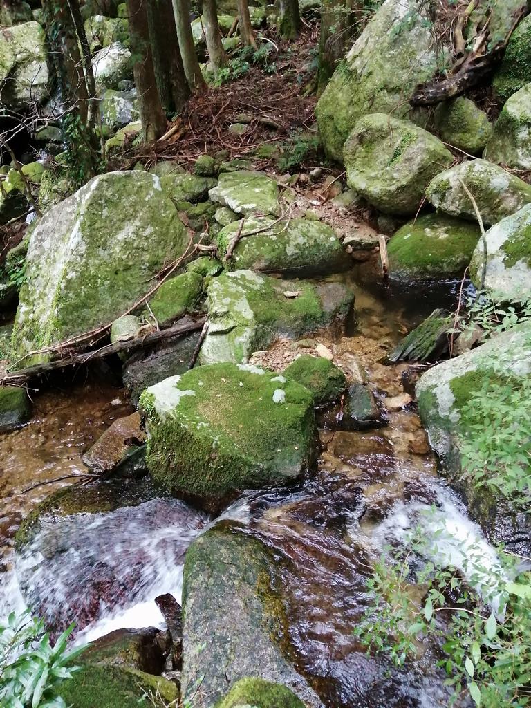 湯戸滝前の川を渡る