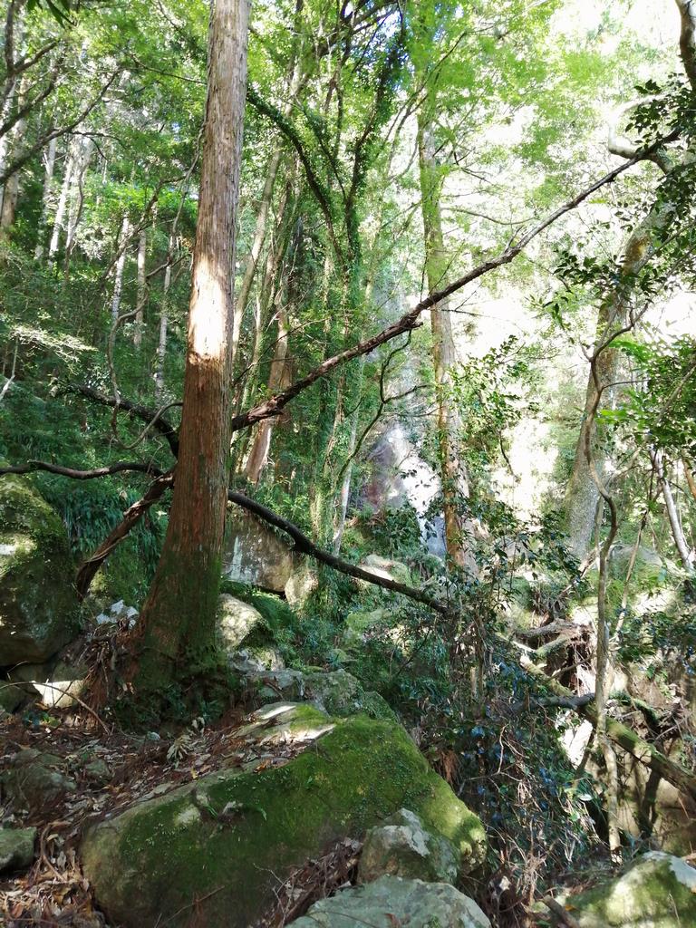 遠くからの滝