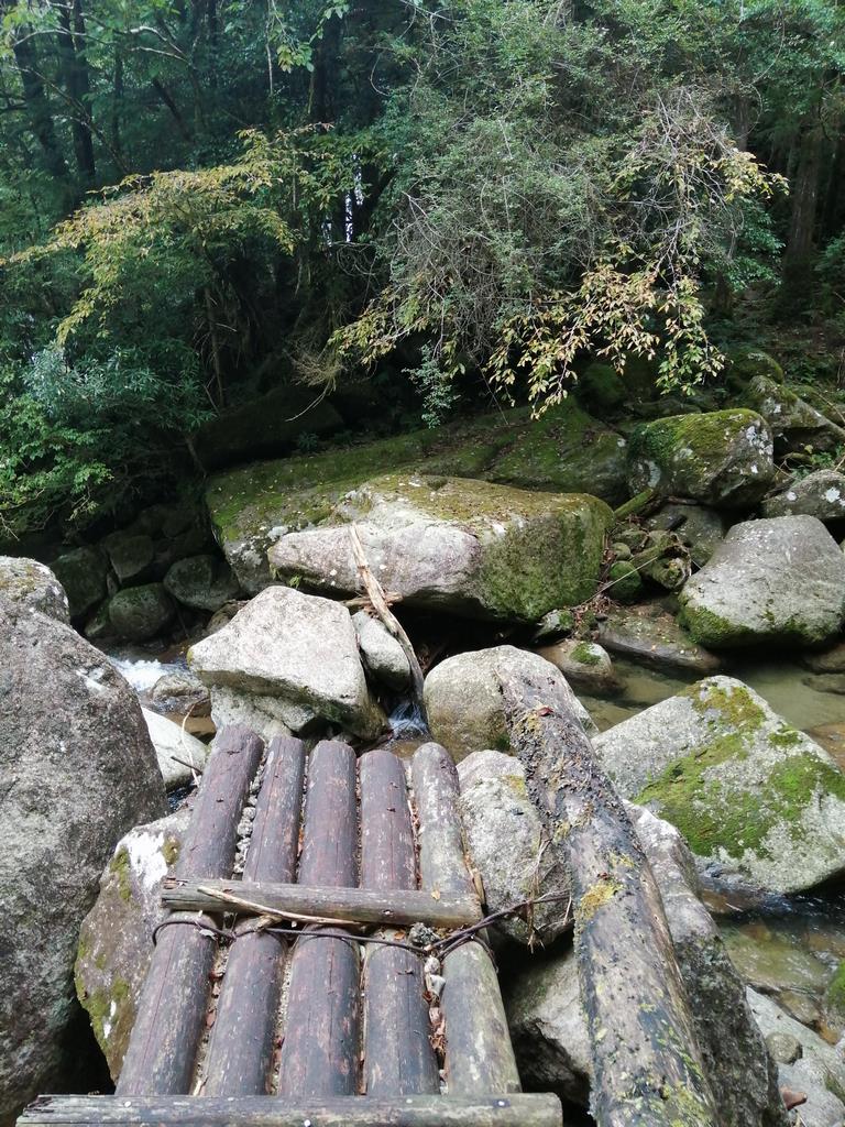 野々滝への橋2