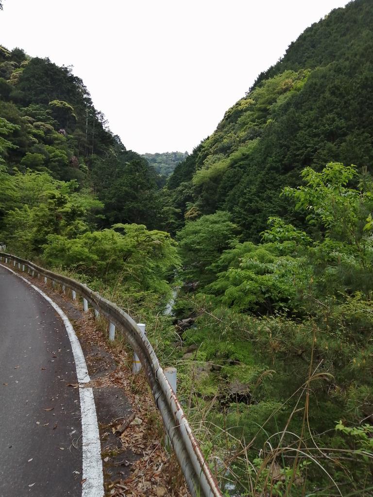 遠くから滝