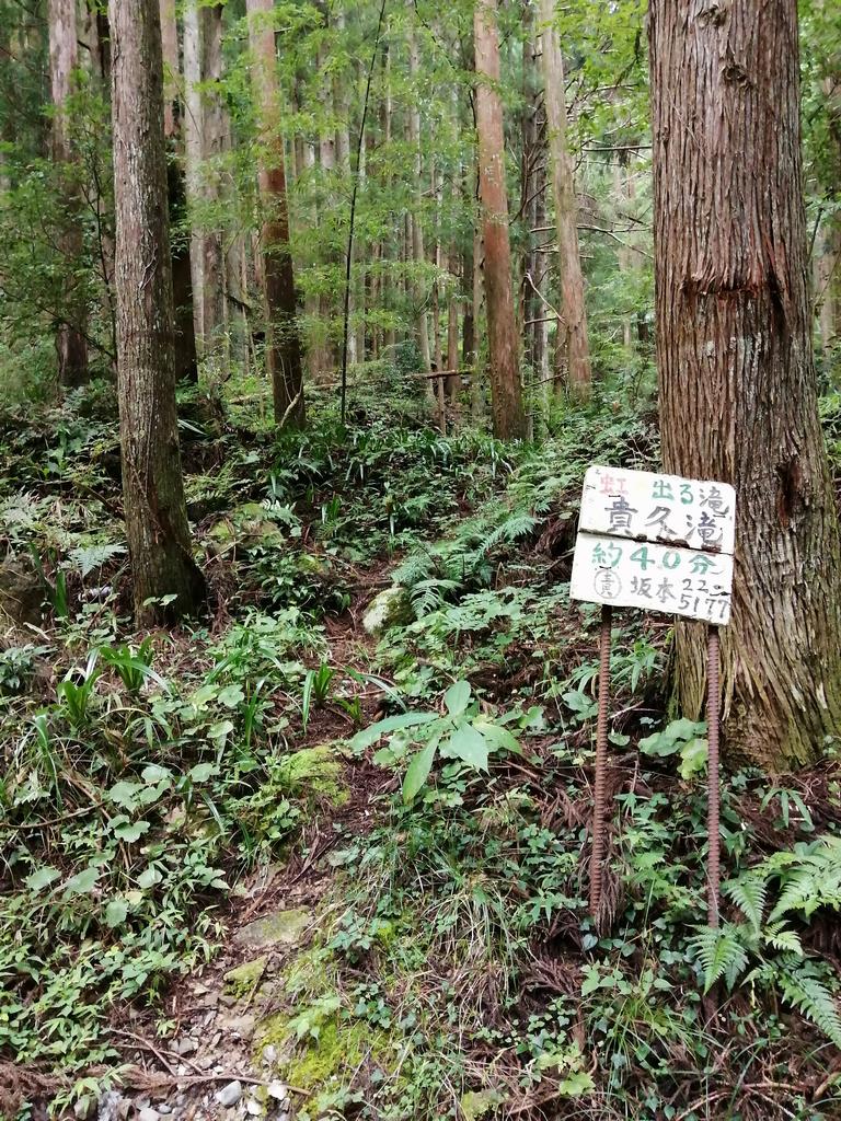 入口滝看板